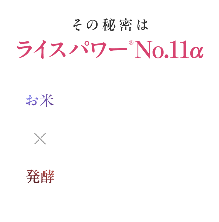 その秘密は ライスパワー®No.11 