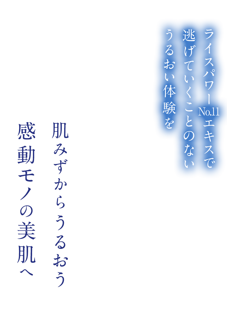 ライスパワーエキスで逃げていくことのないうるおい体験を肌みずからうるおう感動モノの美肌へ