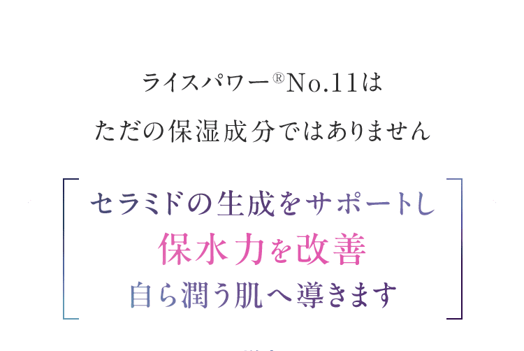 ライスパワー®No.11はただの保湿成分ではありませんセラミドの生成をサポートし 保水力を改善 自ら潤う肌へ導きます