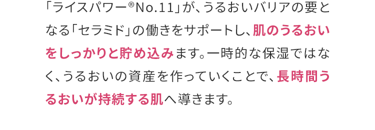「ライスパワー®No.11」が、うるおいバリアの要となる「セラミド」の働きをサポートし、肌のうるおいをしっかりと貯め込みます。一時的な保湿ではなく、うるおいの資産を作っていくことで、長時間うるおいが持続する肌へ導きます。