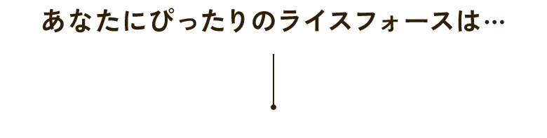 あなたにぴったりのライスフォースは…