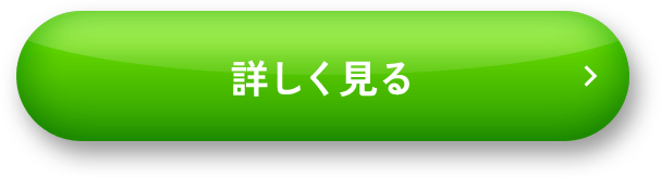 詳しく見る