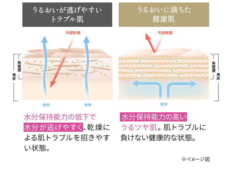 図：うるおいが逃げやすいトラブル肌……うるおいキープ力の低下で水分が逃げやすく、乾燥による肌トラブルを招きやすい状態。うるおいに満ちた健康肌……水分をたっぷり溜め込んだうるツヤ肌。肌トラブルに負けない健康的な状態。 ※ イメージ図