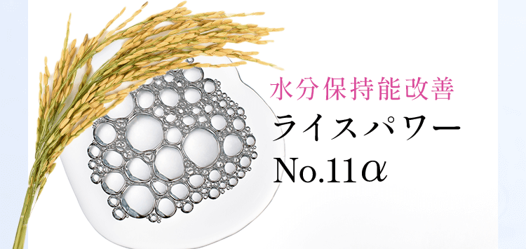 水分保持能改善ライスパワー No.11α