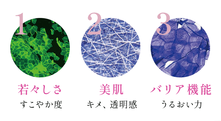 1若々しさすこやか度 2美肌キメ、透明感 3バリア機能うるおい力