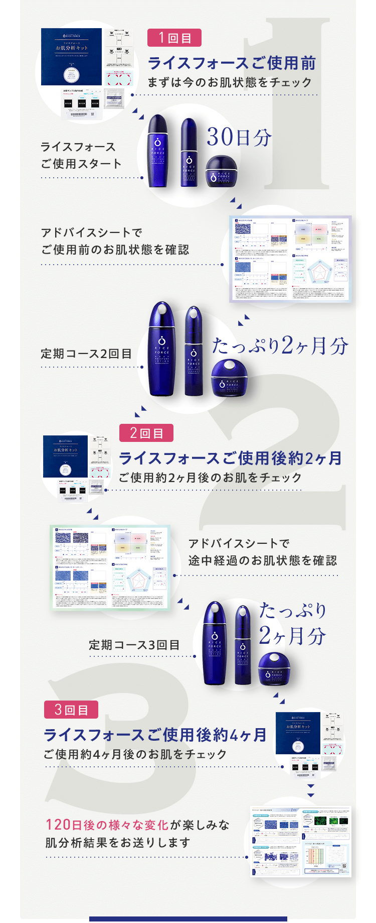 1回目ライスフォースご使用前まずは今のお肌状態をチェック30日分たっぷり2ヶ月分　2回目ライスフォースご使用後約2ヶ月ご使用約2ヶ月後のお肌をチェックたっぷり2ヶ月分　3回目ライスフォースご使用後約4ヶ月ご使用約4ヶ月後のお肌をチェック120日後の様々な変化が楽しみな肌分析結果をお送りします