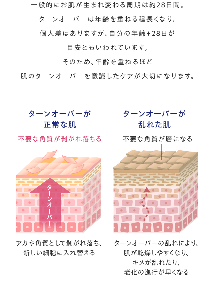 一般的にお肌が生まれ変わる周期は約28日間。ターンオーバーは年齢を重ねる程長くなり、個人差はありますが、自分の年齢+28日が目安ともいわれています。そのため、年齢を重ねるほど肌のターンオーバーを意識したケアが大切になります。ターンオーバーが正常な肌　ターンオーバーが乱れた肌