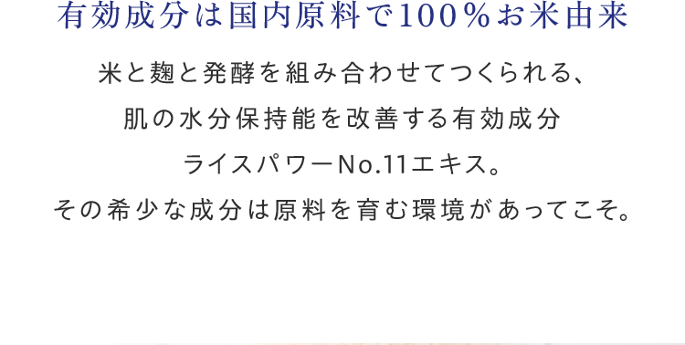 有効成分は国内原料で100％お米由来米と麹と発酵を組み合わせてつくられる、肌の水分保持能を改善する有効成分ライスパワーNo.11エキス。その希少な成分は原料を育む環境があってこそ。