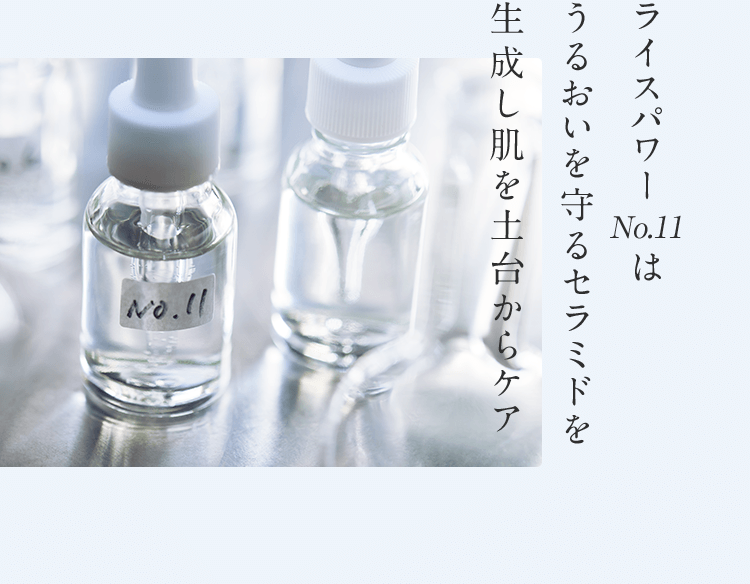 ライスパワーNo.11はうるおいを守るセラミドを生成し肌を土台からケア