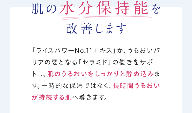 肌の水分保持能を改善します「ライスパワーNo.11エキス」が、うるおいバリアの要となる「セラミド」の働きをサポートし、肌のうるおいをしっかりと貯め込みます。一時的な保湿ではなく、長時間うるおいが持続する肌へ導きます。