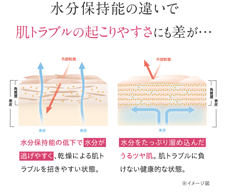 水分保持能の違いで肌トラブルの起こりやすさにも差が…水分保持能の低下で水分が逃げやすく、乾燥による肌トラブルを招きやすい状態。 水分をたっぷり溜め込んだうるツヤ肌。肌トラブルに負けない健康的な状態。※イメージ図 そこで