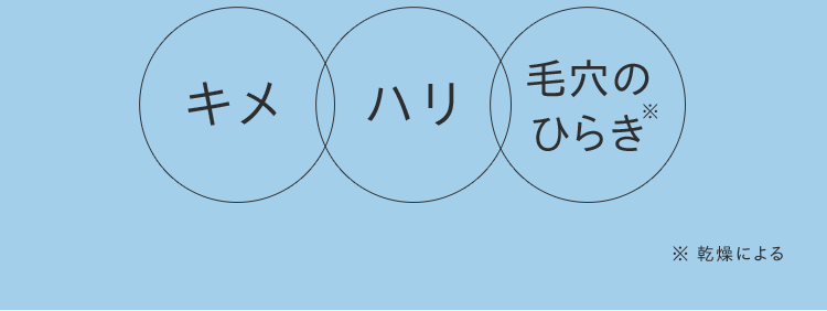 キメ、ハリ、毛穴のひらき※ ※乾燥による