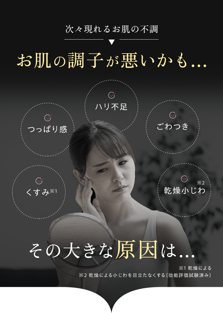 次々現れるお肌の不調お肌の調子が悪いかも…くすみ※1、つっぱり感、ハリ不足、ごわつき、乾燥小じわ※2　その大きな原因は… ※1 乾燥による※2 乾燥による小じわを目立たなくする（効能評価試験済み）