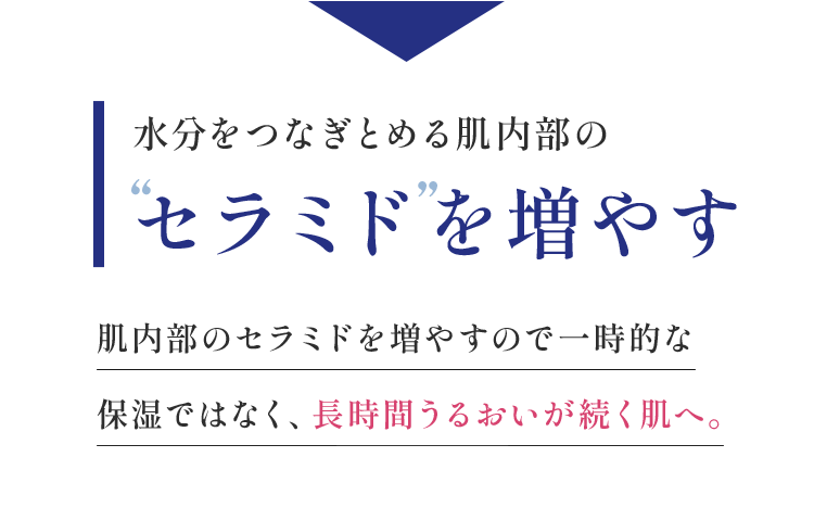 水分をつなぎとめる肌内部のセラミドを増やす肌内部のセラミドを増やす肌内部のセラミドを増やすので一時的な保湿ではなく、長時間うるおいが続く肌へ。