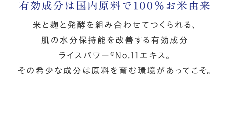 有効成分は国内原料で100％お米由来米と麹と発酵を組み合わせてつくられる、肌の水分保持能を改善する有効成分ライスパワーNo.11エキス。その希少な成分は原料を育む環境があってこそ。