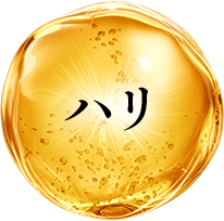 ハリ