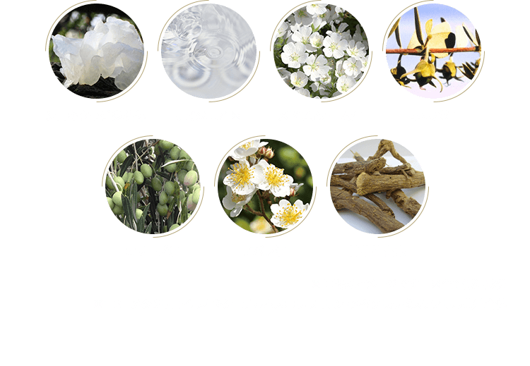 ※ 画像はイメージです　※全て保湿成分 ※1 ２－メタクリロイルオキシエチルホスホリルコリン・メタクリル酸ステアリル共重合体 