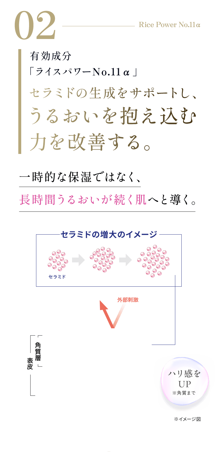 02 Rice Power No.11α 有効成分「ライスパワーNo.11α」うるおいを抱え込む力を改善する。一時的な保湿ではなく、長時間うるおいが続く肌へと導く。