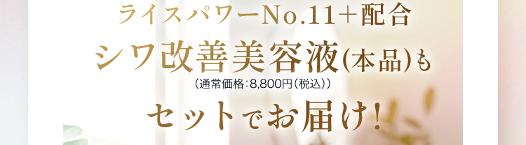 ライスパワーNo.11＋配合 シワ改善美容液(本品)も セットでお届け!