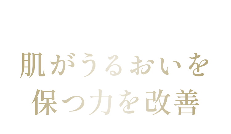 有効成分「ライスパワーNo.11α」が セラミドの生成を促し肌がうるおいを 保つ力を改善