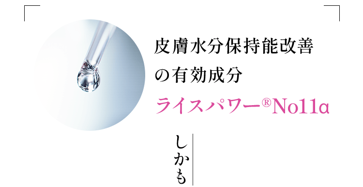 皮膚水分保持能改善 の有効成分 ライスパワー®No11α しかも