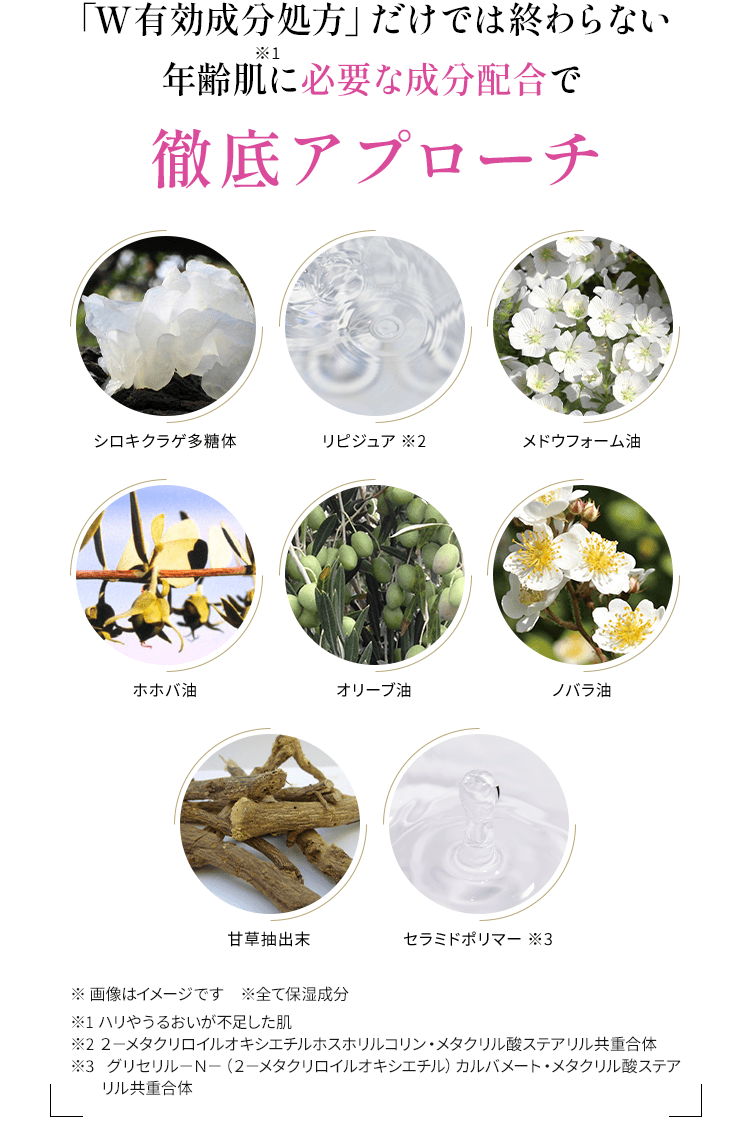 「W有効成分処方」だけでは終わらない年齢肌に必要な成分配合で徹底アプローチ※ 画像はイメージです　※全て保湿成分※1 ハリやうるおいが不足した肌※2 ２－メタクリロイルオキシエチルホスホリルコリン・メタクリル酸ステアリル共重合体※3 グリセリル－Ｎ－（２－メタクリロイルオキシエチル）カルバメート・メタクリル酸ステアリル共重合体