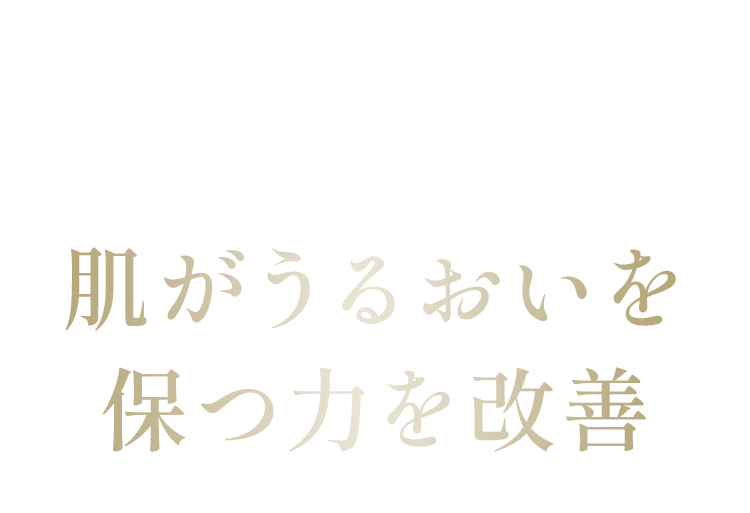 有効成分「ライスパワーNo.11α」が セラミドの生成を促し肌がうるおいを 保つ力を改善