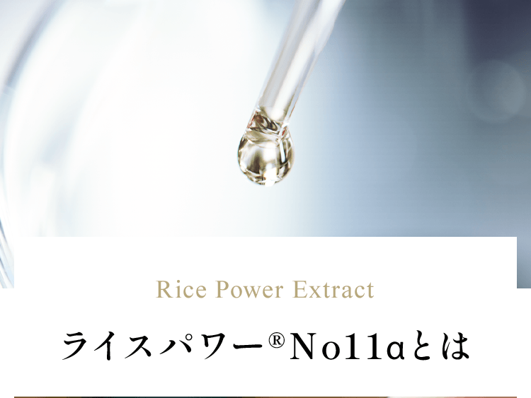 Rice Power Extract　ライスパワー®No11αとは