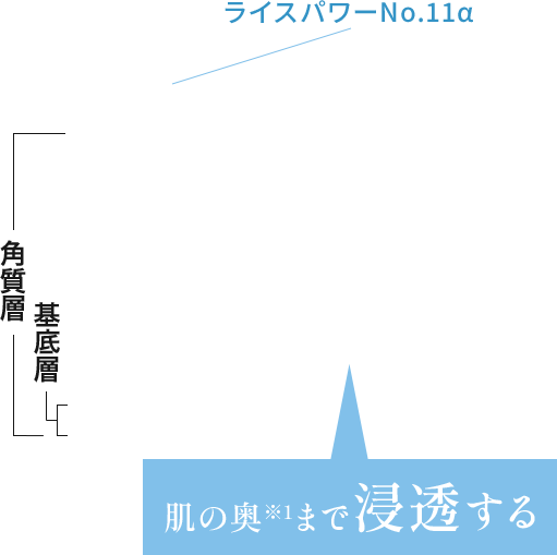 ライスパワーNo.11α