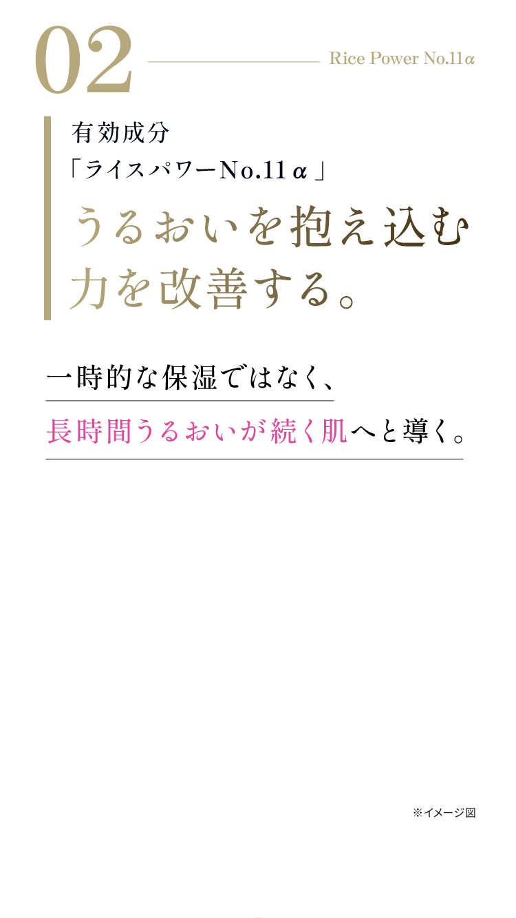 02 Rice Power No.11α 有効成分「ライスパワーNo.11α」うるおいを抱え込む力を改善する。一時的な保湿ではなく、長時間うるおいが続く肌へと導く。