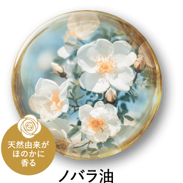 ノバラ油