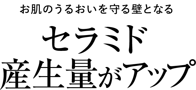 お肌のうるおいを守る壁となるセラミド産生量がアップ