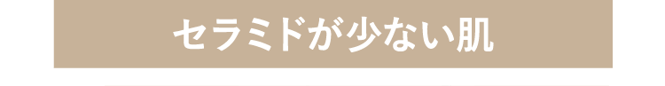 セラミドが少ない肌