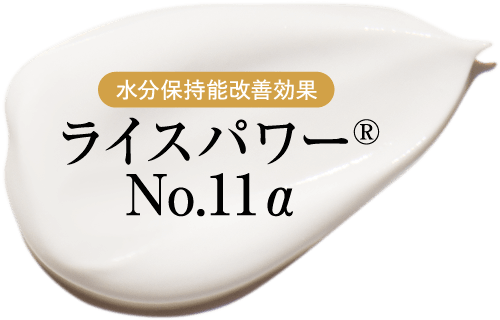 水分保持能改善効果 ライスパワー®No.11α