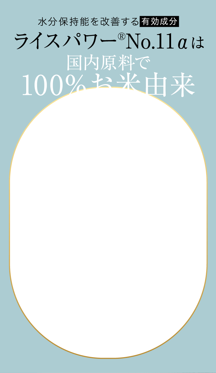 国内原料で100%お米由来