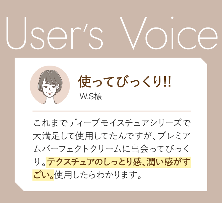 User's voice