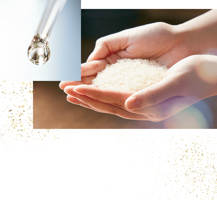 日本初 高濃度配合