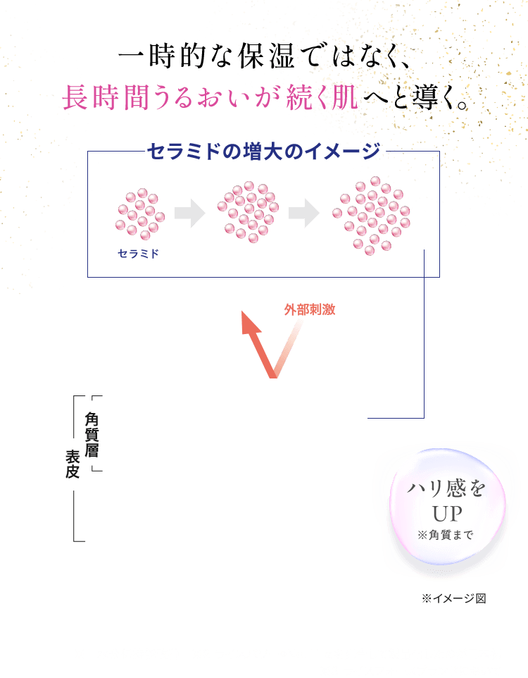 一時的な保湿ではなく、 長時間うるおいが続く肌へと導く。