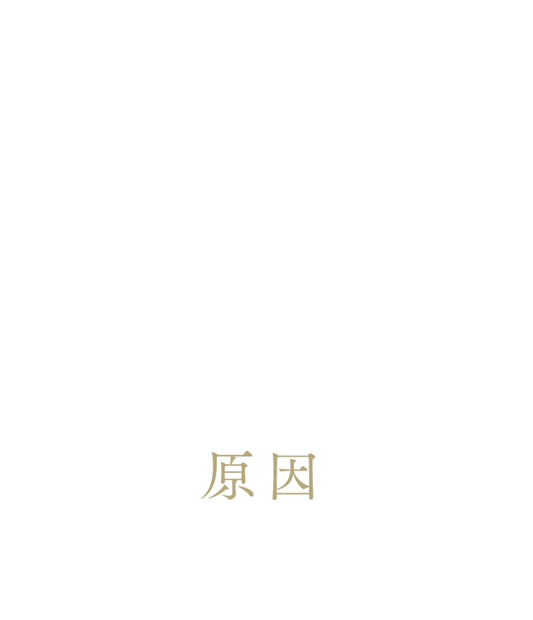 年齢につれて増える 肌悩み… ハリ不足、くすみ、乾燥、ごわつき、毛穴目立ち ※乾燥による その原因は…
