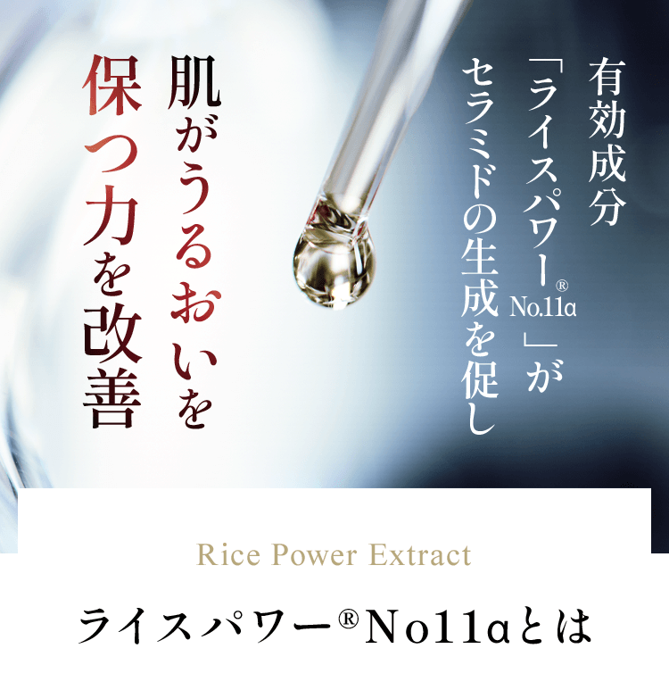 有効成分 「ライスパワー 」が セラミドの生成を促し肌がうるおいを保つ力を改善 Rice Power Extract ライスパワー®No11αとは