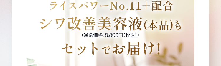 ライスパワーNo.11+配合 シワ改善美容液(本品)も セットでお届け!