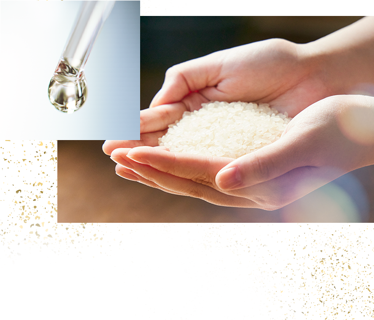 セラミドの産生を促し、「肌がうるおいを抱え込む力」を改善