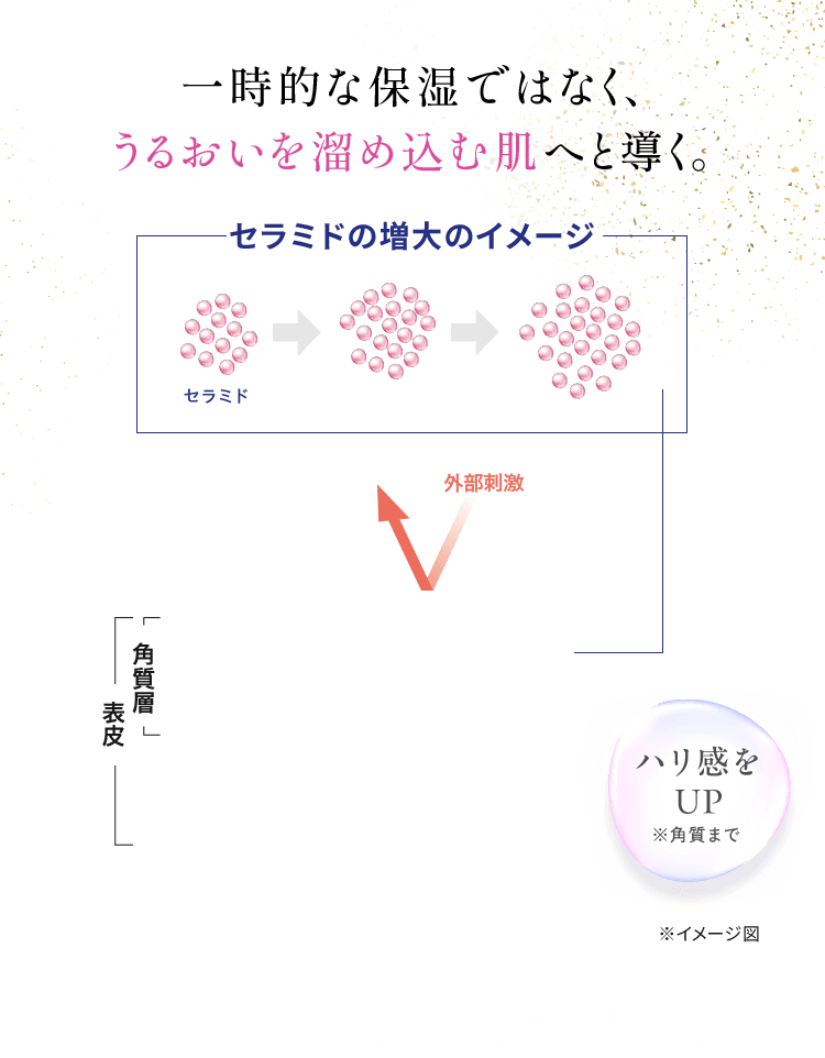 一時的な保湿ではなく、 長時間うるおいが続く肌へと導く。