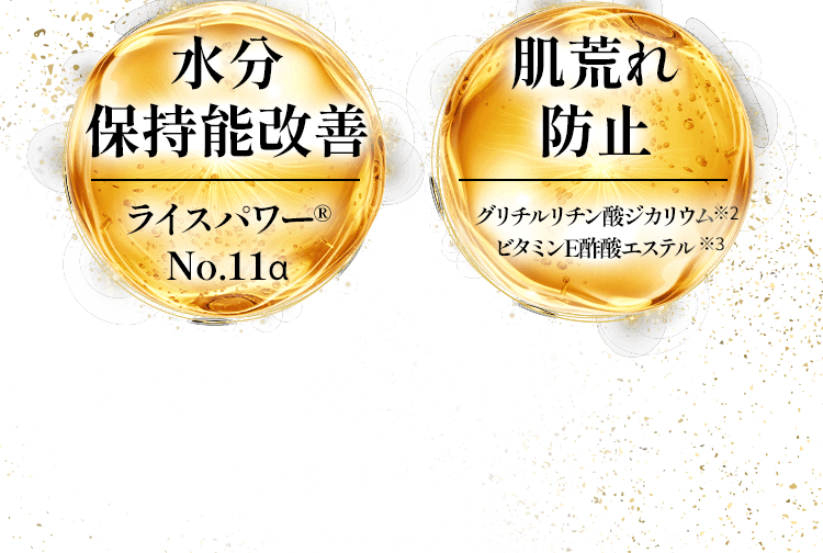 水分 保持能改善 肌荒れ 防止