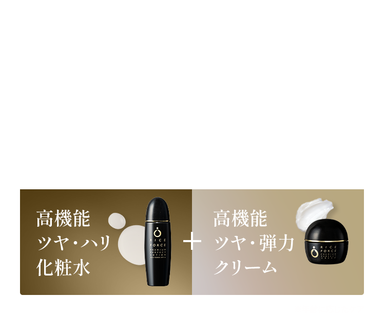 高機能 ツヤ・ハリ 化粧水+高機能 ツヤ・弾力 クリーム