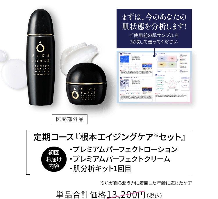 医薬部外品 単品合計価格13,200円（税込）