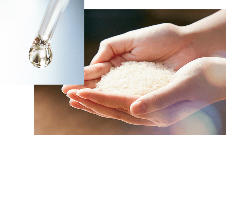 セラミドの産生を促し、「肌がうるおいを抱え込む力」を改善