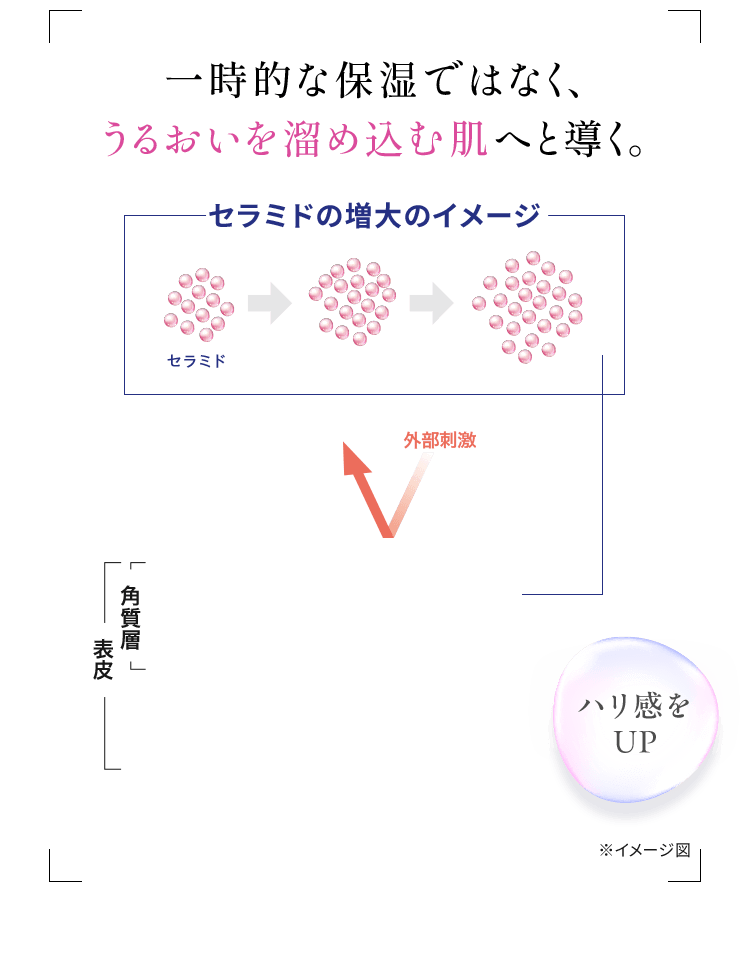 一時的な保湿ではなく、 長時間うるおいが続く肌へと導く。