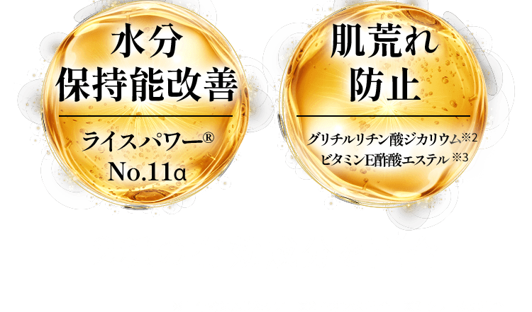 水分 保持能改善 肌荒れ 防止