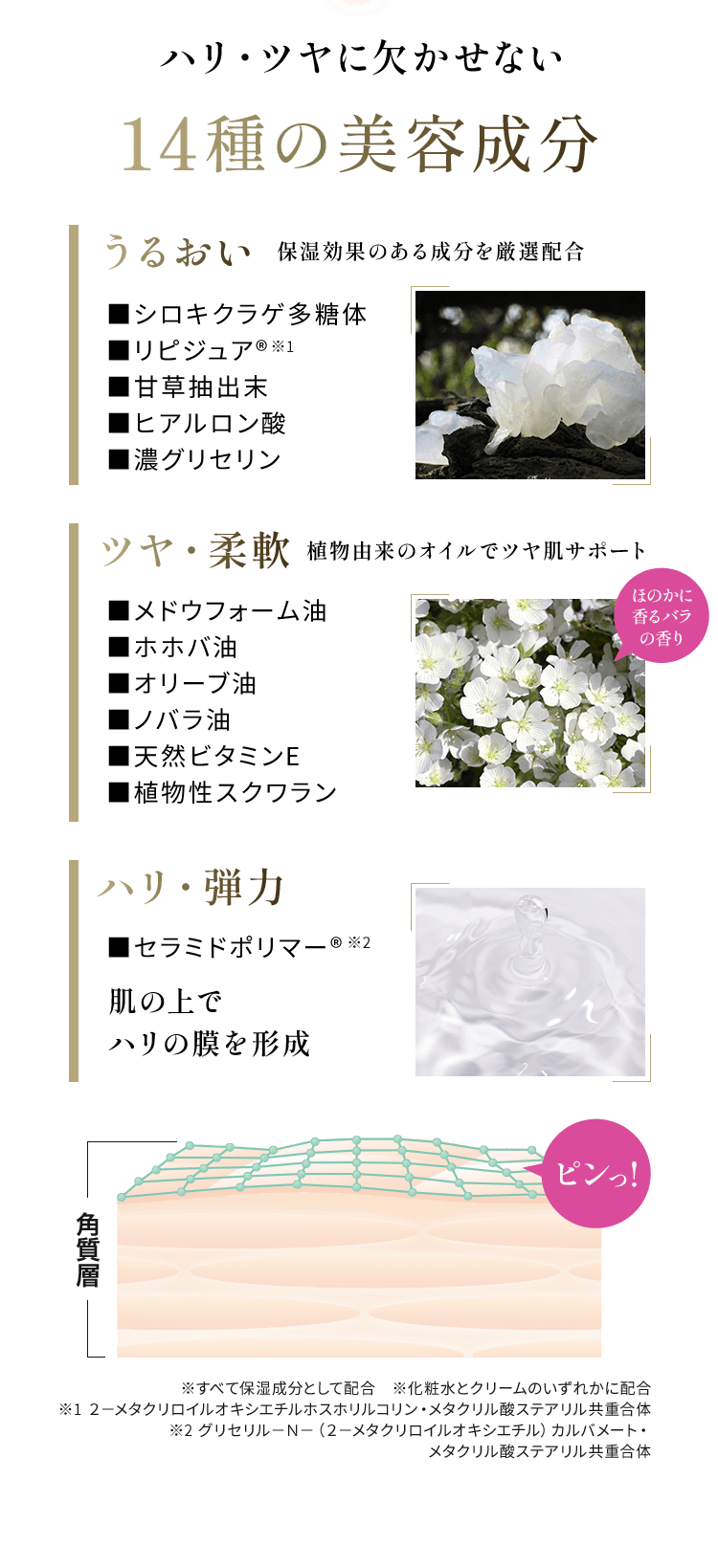 ハリ・ツヤに欠かせない 14種の美容成分